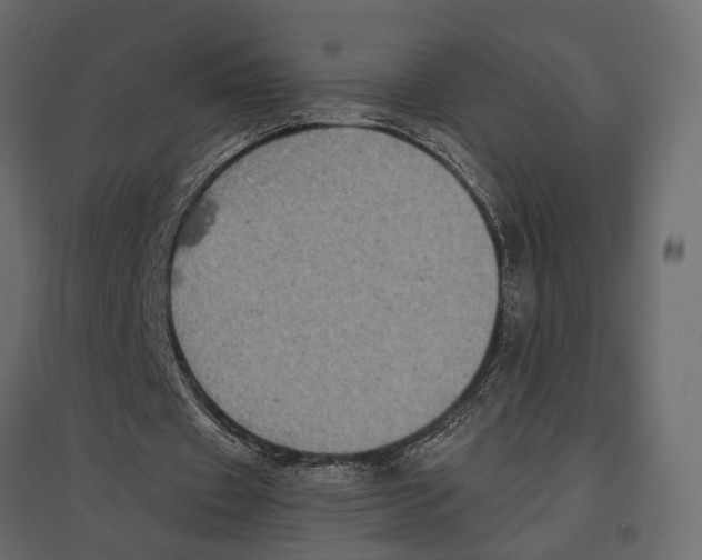 X0000097000433200803071121