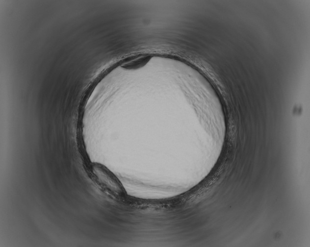 X0000097000434200803071121