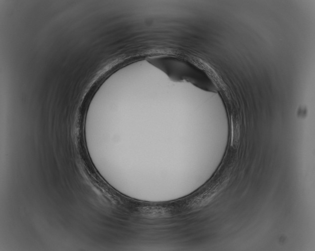 X0000097000435200803071121