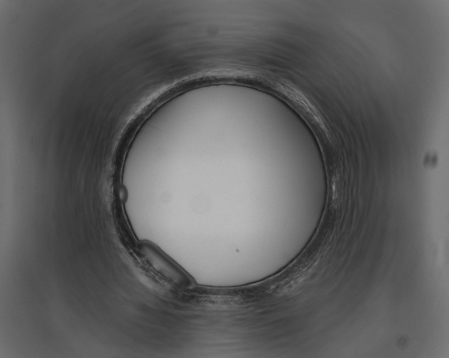 X0000097000436200803071121