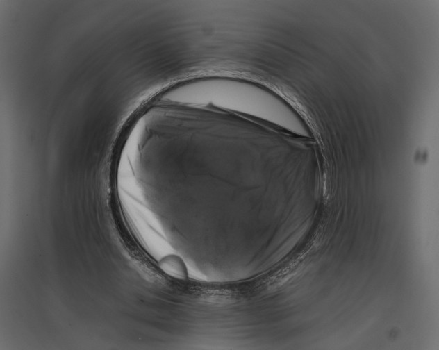 X0000097000438200803071121