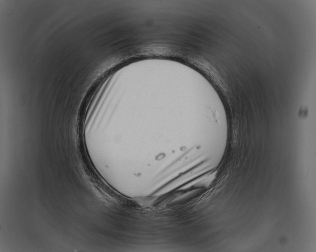 X0000097000439200803071121