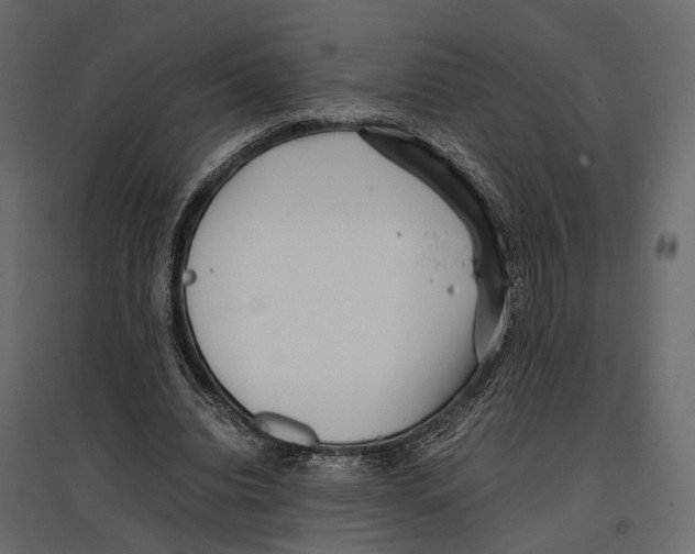 X0000097000440200803071121