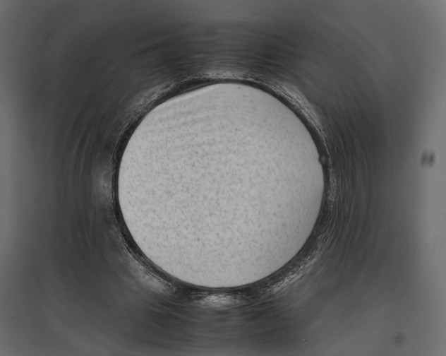 X0000097000441200803071121