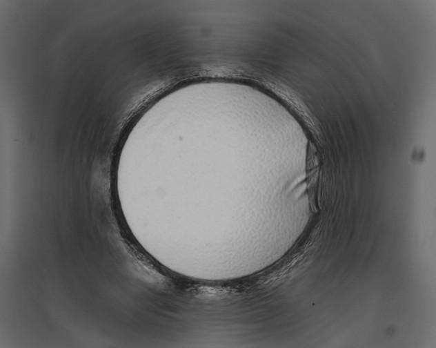 X0000097000442200803071121