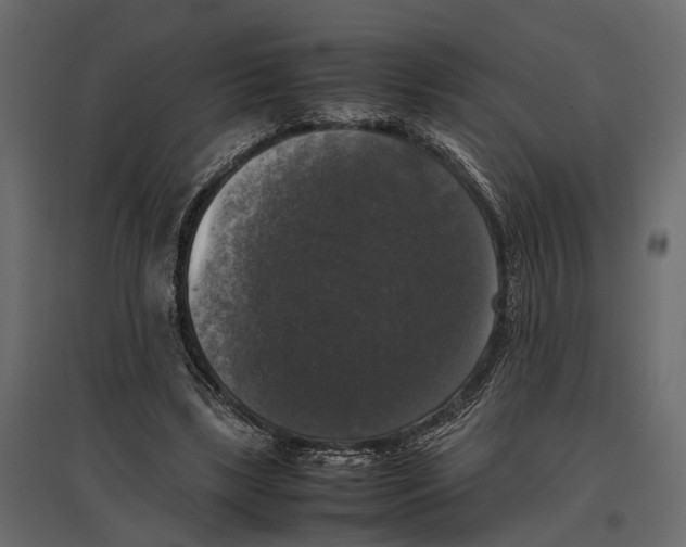 X0000097000443200803071121