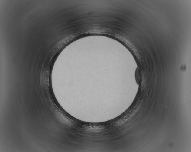 X0000097000445200803071121