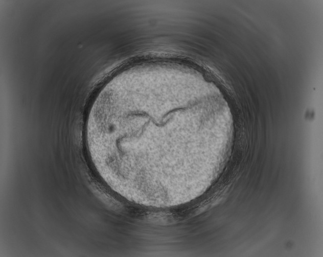 X0000097000446200803071121