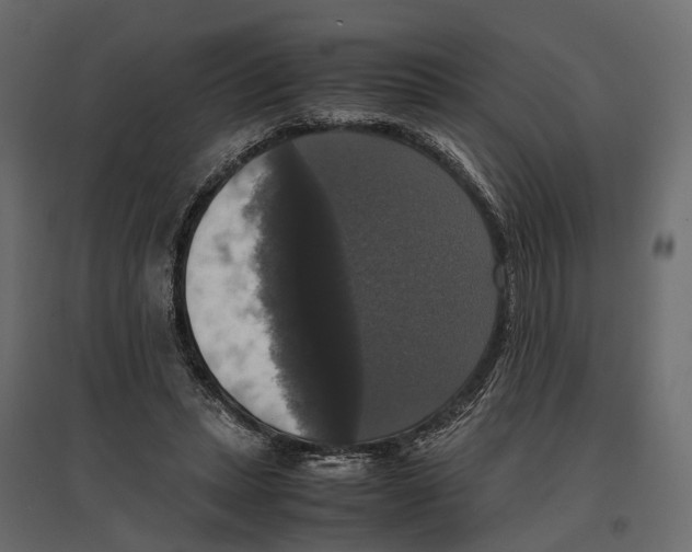 X0000097000447200803071121