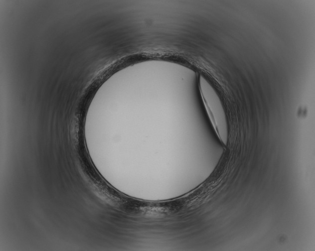 X0000097000448200803071121