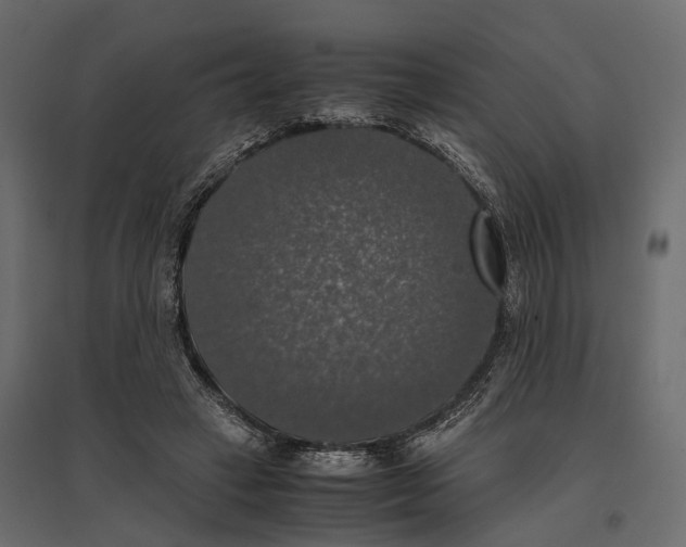 X0000097000449200803071121