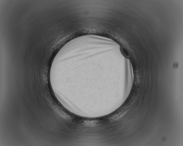 X0000097000450200803071121