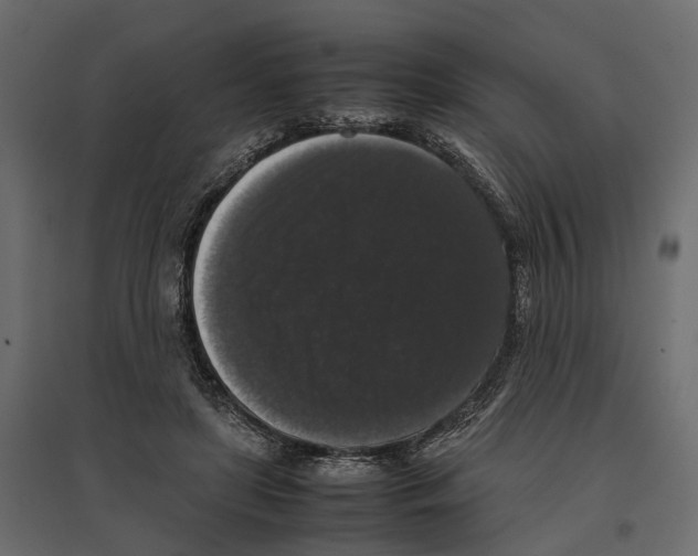 X0000097000451200803071121