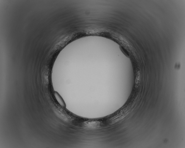 X0000097000452200803071121