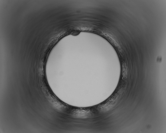 X0000097000453200803071121