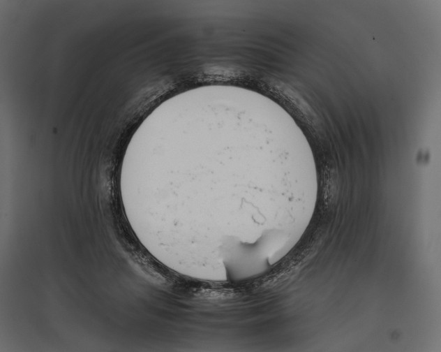 X0000097000455200803071121