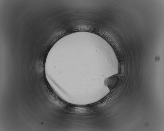 X0000097000457200803071121