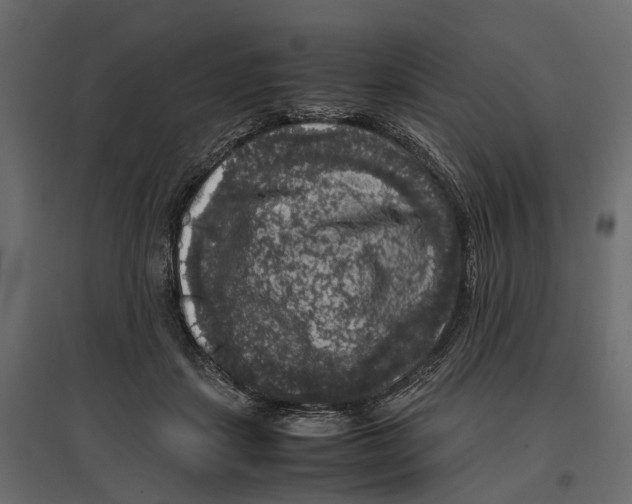 X0000097000459200803071121