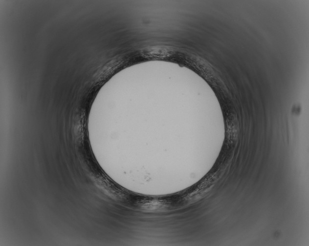 X0000097000460200803071121