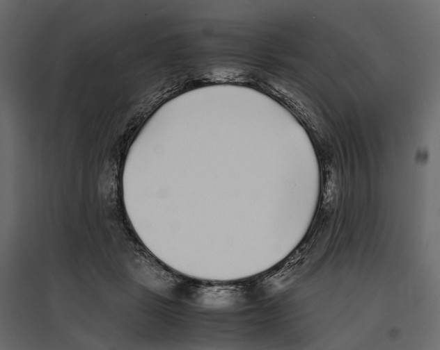 X0000097000461200803071121