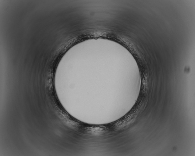 X0000097000462200803071121