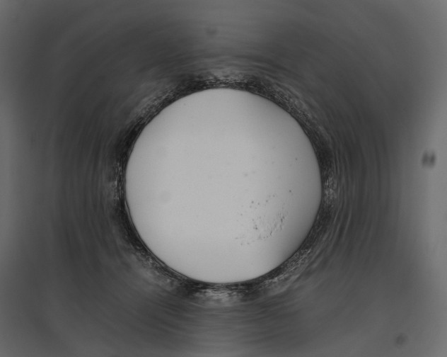 X0000097000464200803071121