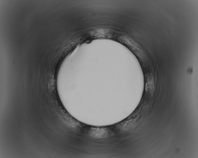 X0000097000469200803071122