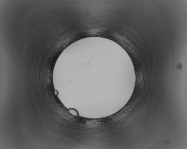 X0000097000470200803071122