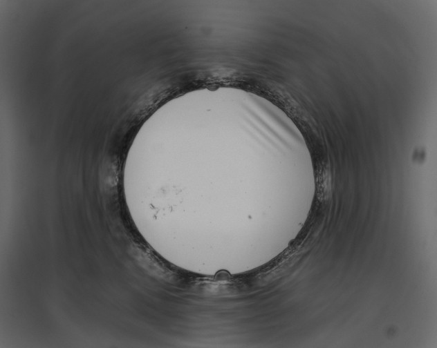 X0000097000472200803071122