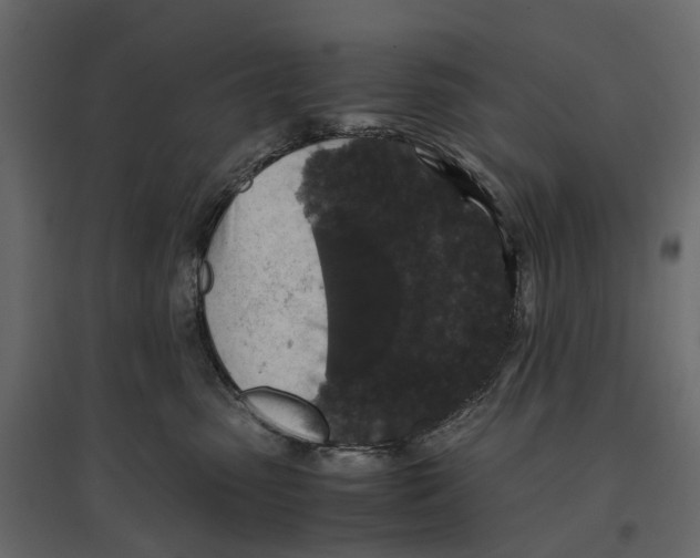 X0000097000475200803071122