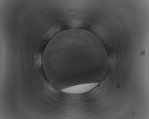 X0000097000479200803071122