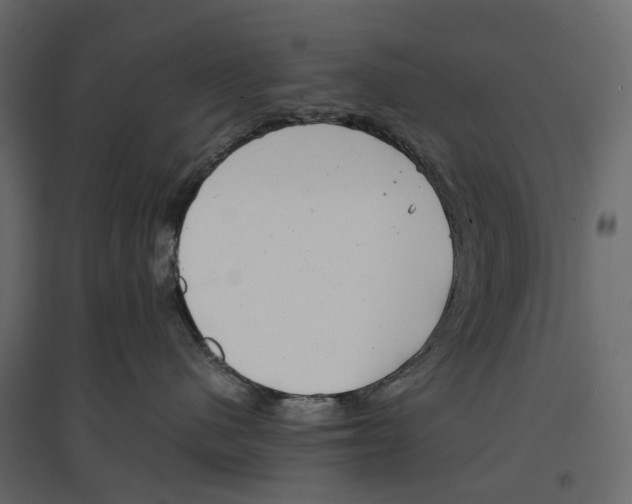 X0000097000480200803071122