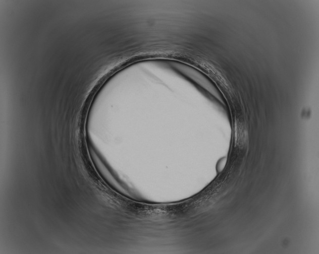 X0000097000483200803071121