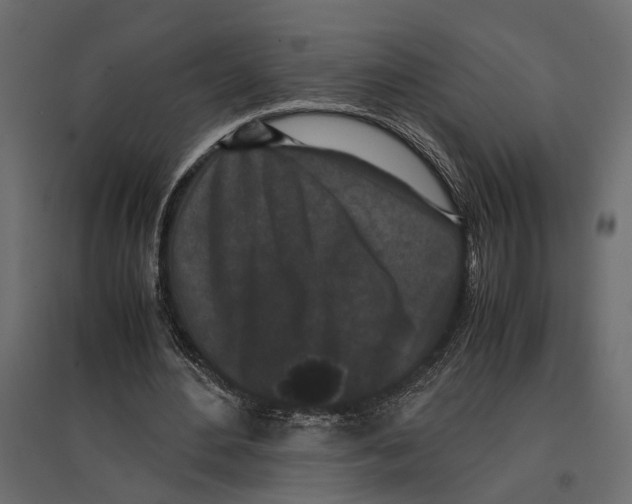 X0000097000484200803071121