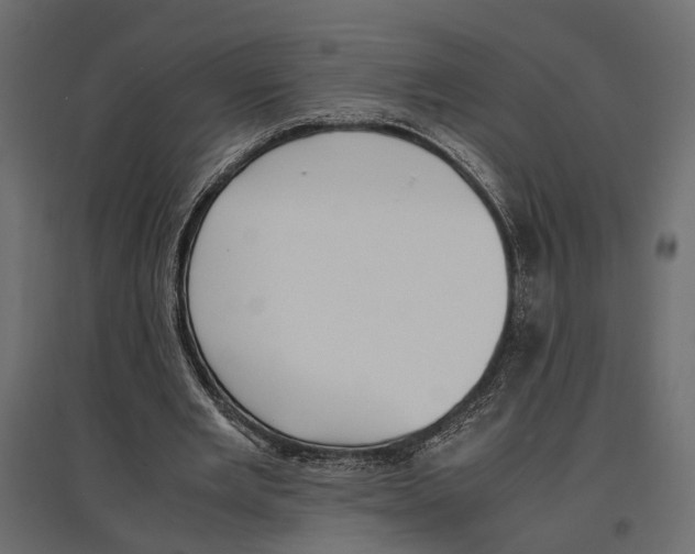 X0000097000485200803071121