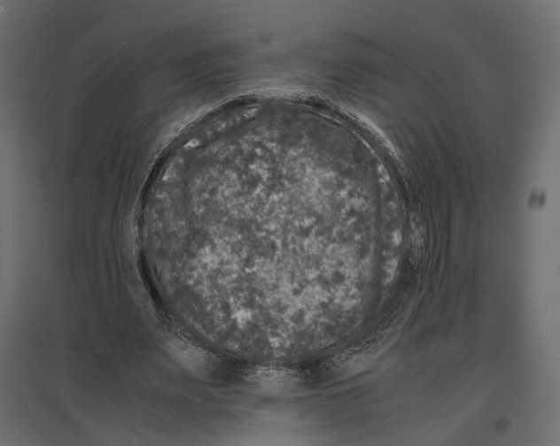 X0000097000487200803071121