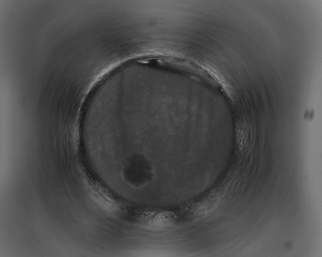 X0000097000488200803071121