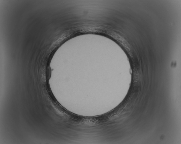 X0000097000489200803071121