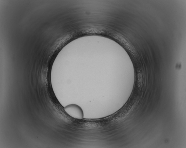 X0000097000490200803071121