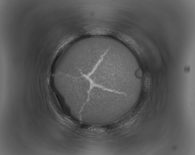 X0000097000491200803071121