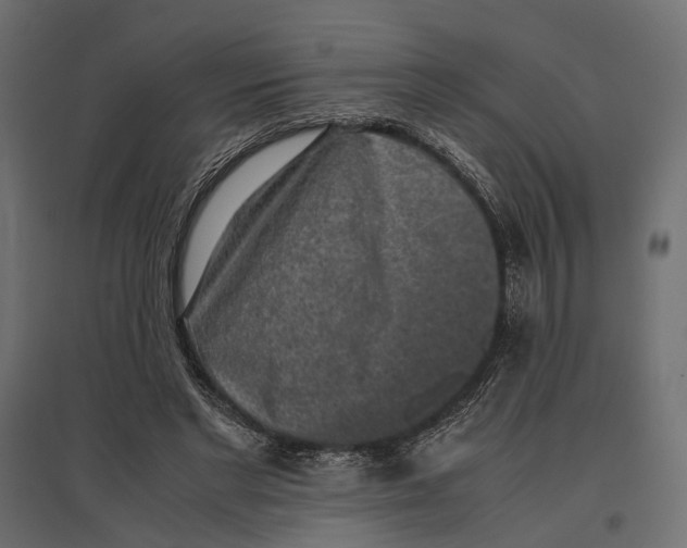 X0000097000493200803071121