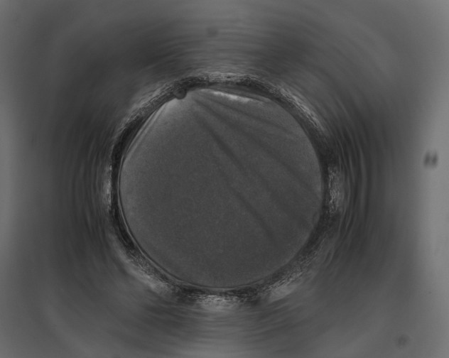 X0000097000494200803071121