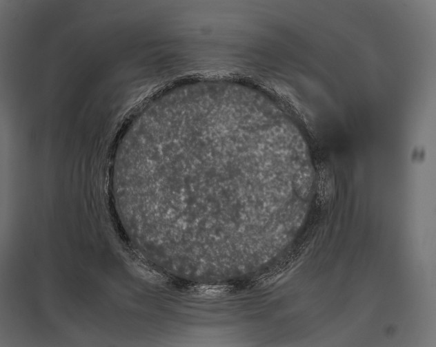 X0000097000495200803071121