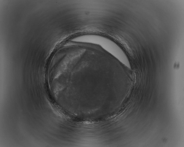 X0000097000496200803071121