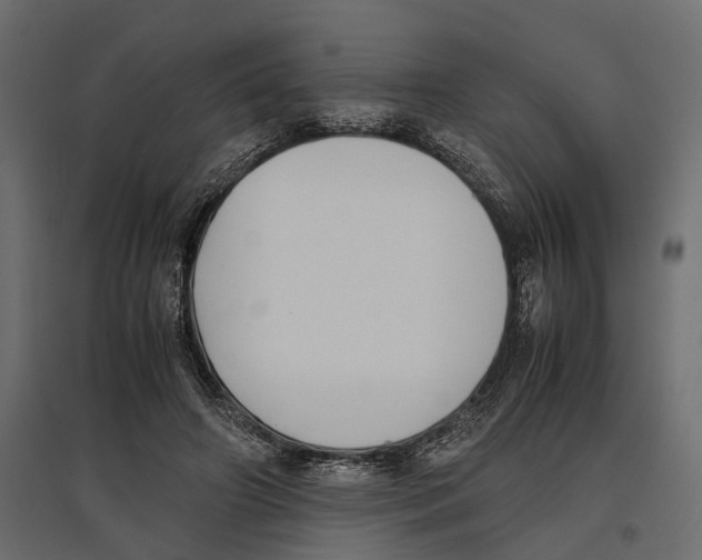 X0000097000498200803071121