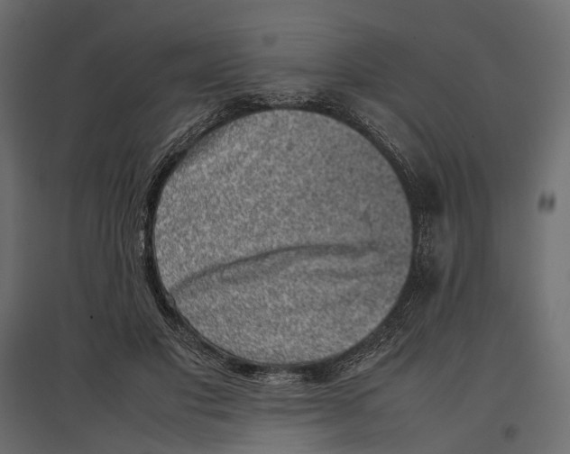 X0000097000501200803071121