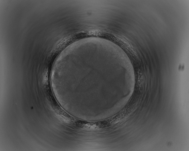 X0000097000502200803071121