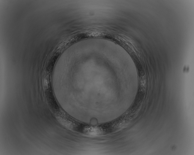 X0000097000503200803071121