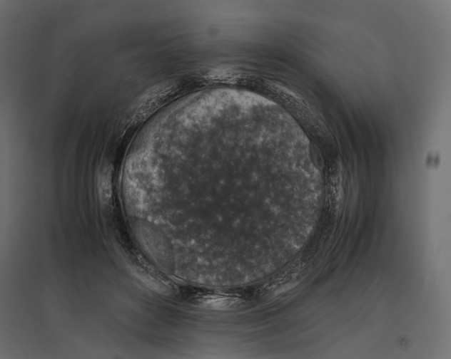 X0000097000504200803071121