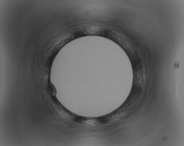 X0000097000505200803071121